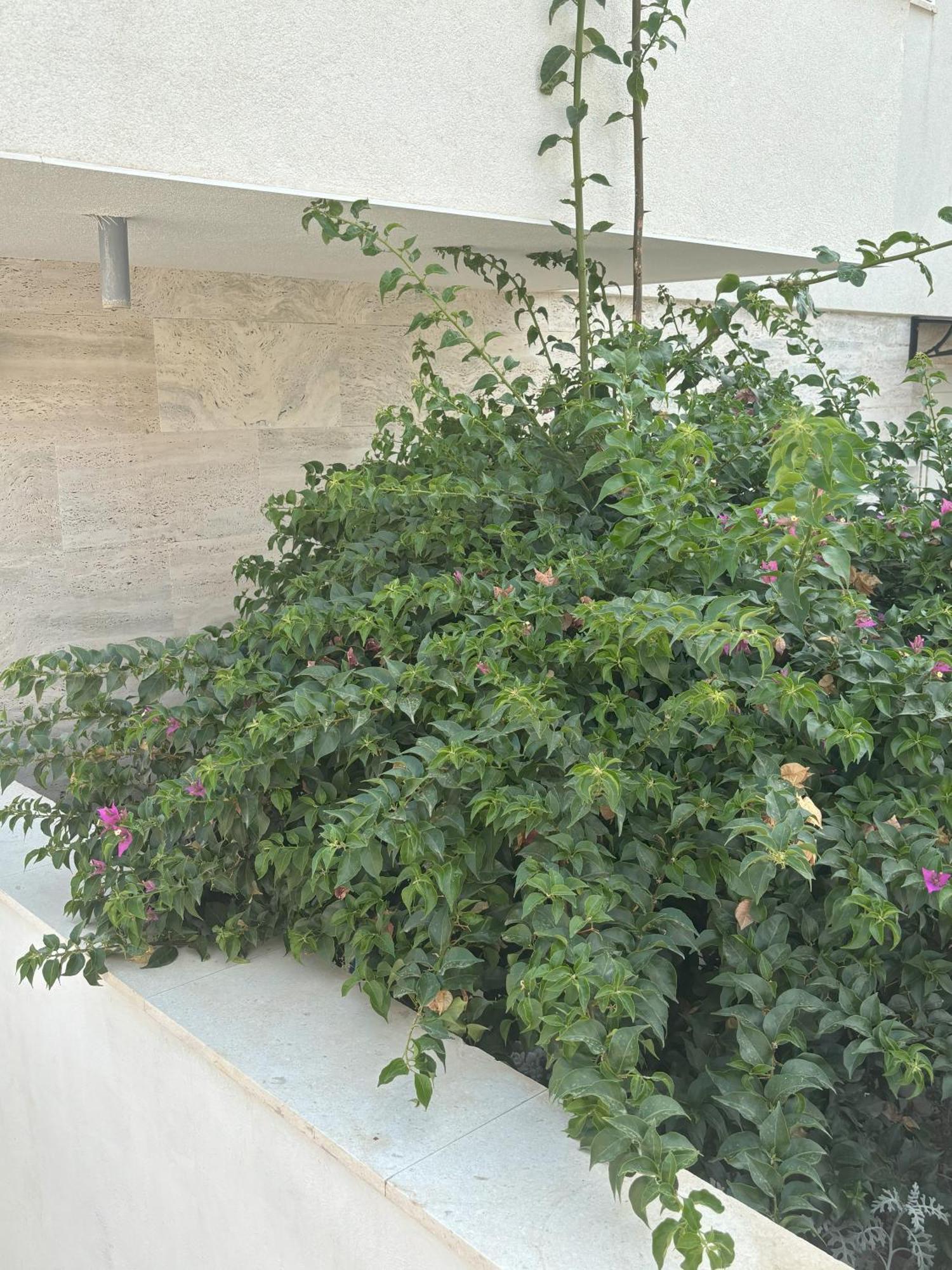 Vila Regina Apartment Rex With Swimming Pool Jezera Dış mekan fotoğraf